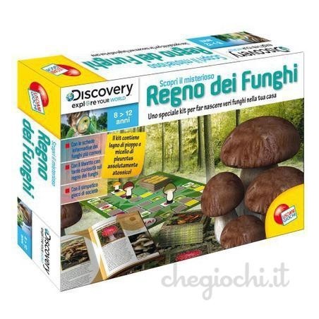 Il Misterioso Regno dei Funghi Lisciani